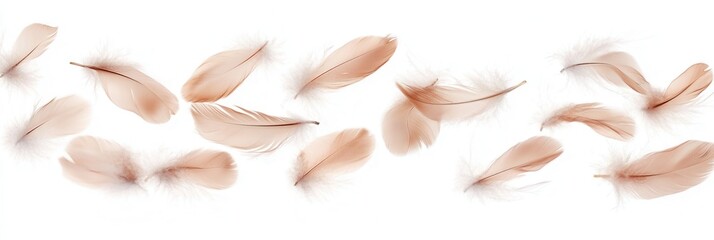 Leinwandbilder - Floating feathers create a serene atmosphere against a soft white background in a dreamlike composition