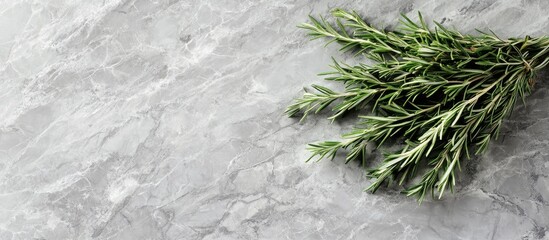 Poster - Fresh rosemary sprigs arranged on a grey marble background with natural textures and subtle hues providing ample copyspace for design purposes