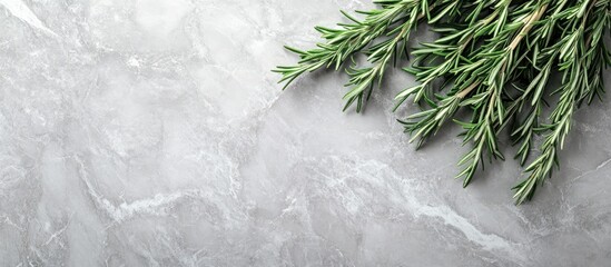 Poster - Fresh rosemary twigs arranged on a grey marble background showcasing vibrant green leaves with ample copyspace in the lower right corner