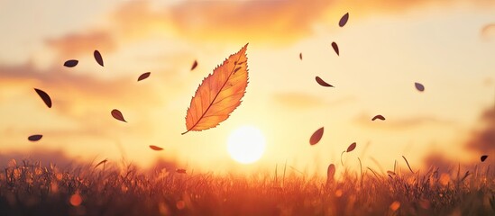 Aufkleber - Golden autumn leaves gently falling with a vibrant sunset backdrop, warm orange and yellow hues illuminating the sky and sun.