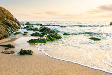 Wall Mural - summer holiday season at the seaside. beautiful seascape at sunrise. golden sandy beach in morning l