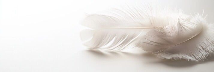 Leinwandbilder - Delicate floating feathers create a serene atmosphere in a dreamy composition against a soft white background