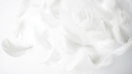 Leinwandbilder - Soft floating feathers create a dreamlike atmosphere against a pure white background in this high key composition that evokes tranquility and lightness