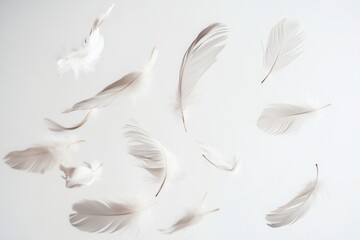 Poster - Floating feathers create a dreamlike atmosphere against a soft white background in high key photography showcasing delicate beauty
