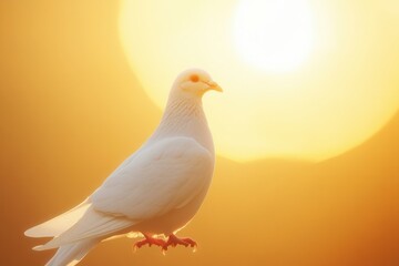 Poster - Minimalist design of a white dove silhouette against a glowing golden sun backdrop during sunset