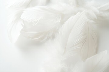 Leinwandbilder - Soft floating feathers create a dreamlike atmosphere on a white background for high key artistic expression