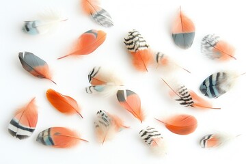 Leinwandbilder - Floating feathers create a dreamlike atmosphere against a soft white background in high key photography