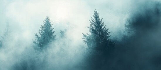 Wall Mural - Mystical winter forest with tall spruce trees partially obscured by fog, sunbeams piercing through creating a serene blue-green atmosphere