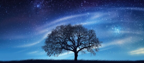 Wall Mural - Serene night sky with vibrant Milky Way stars and dark tree silhouettes against a gradient of deep blue and purple hues in a tranquil countryside setting.