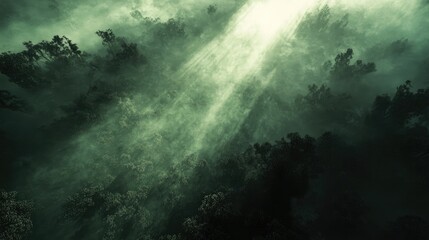 Wall Mural - ethereal forest canopy, rays of light piercing through the misty trees