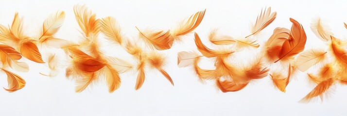 Poster - Soft floating feathers create a serene and dreamlike atmosphere against a white backdrop in high key photography