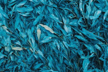 A textured green palm leaf on an abstract background symbolizing tropical nature