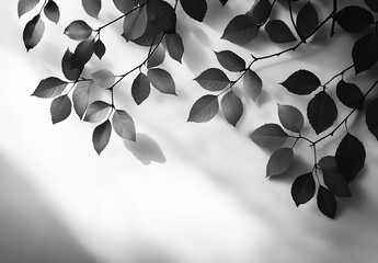 Fototapete - Classic Black and White Leaf Design Creating Dramatic Shadows for Artistic Expressions and Sophisticated Home Decor : Generative AI