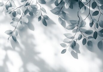 Leinwandbilder - Delicate Soft Leaves Casting Shadows on a White Background in Monochrome Tones : Generative AI