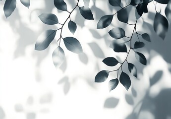 Poster - Artistic Composition of Leaves with Distinct Shadows on a Light Background : Generative AI
