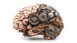 © KHF - The human brain with mechanical gears isolated on a white background.