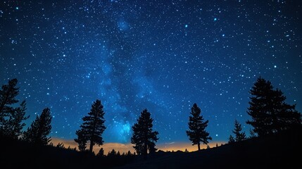 Wall Mural - Silhouetted Trees Against a Starry Night Sky