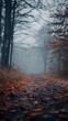 © KerXing - Autumnal Foggy Forest Path