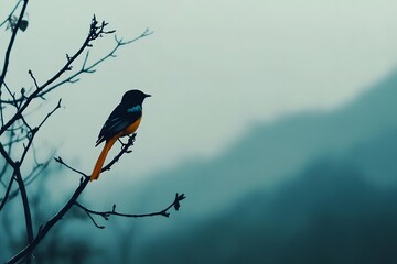 Poster - Silhouette of a vibrant orange and black bird perched on a branch in soft focus landscape : Generative AI