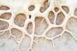 © Сергей Захаров - minimalist shot of tree roots exposed above ground forming intricate patterns against earth
