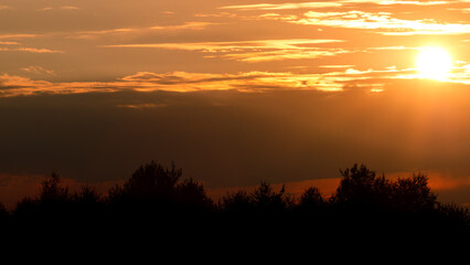 Wall Mural - summer sky sunset over forest. nature, sky with clouds and trees.