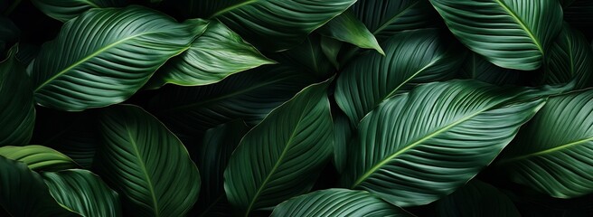 Aufkleber - Elegant Overlapping Green Leaves Forming a Beautiful Natural Background Full of Life and Texture : Generative AI