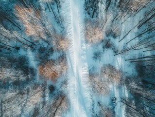 Wall Mural - snowy forest aerial view