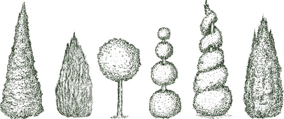 Topiary trees different shapes in hand drawn engraving sketch style. Set of pen and ink decorative garden plants. Vintage monochrome vector illustration.