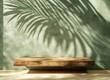 © Rock  - 3D rendering of a minimal background with an empty wooden podium and a green wall with a palm leaf shadow