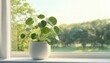 © Tetiana - Stylish Home Decor: Chinese Money Tree Indoor Plant On Windowsill For Modern Retro Green House Decor With Beautiful Garden View And Copy Space