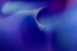 © Tom Wagner - Macro Flower Blossom Background blue purple