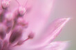 © Tom Wagner - Macro Flower Blossom Background light rose