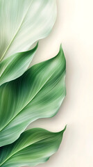 Poster - Vibrant green and white tropical leaves overlapping on a soft beige background, creating a serene and elegant natural backdrop