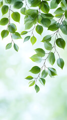 Aufkleber - Verdant foliage forming lush, textured green background, representing seasonal renewal and natural vitality