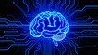 © Rudhvin - human brain scan with brain