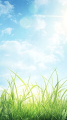 Poster - Verdant grass blades glistening with morning dew, stretching beneath luminous blue sky dotted with wispy clouds and radiant sunlight
