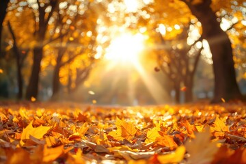 Poster - Fallen autumn leaves blanket the ground in a park, with sunlight filtering through blurred golden trees, creating a warm fall scene