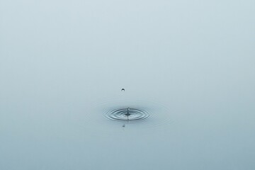 Wall Mural - water droplet falling, creating concentric ripples on calm water surface.
