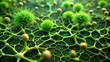 © ทองขาร พอใจ - Intricate branching network of fungal hyphae resembling a miniature forest, green, botanical,  green, botanical