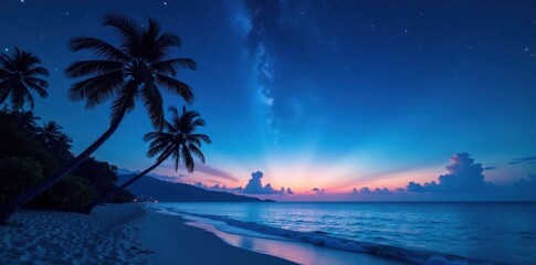 Starry night sky over tropical beach, palm trees silhouette , darkness, exotic