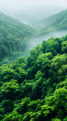 Poster - Misty clouds enveloping verdant mountain forest with ethereal atmospheric landscape