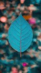 Wall Mural - Isolated leaf in vivid hues on an abstract background. Nature scene for cards or designs