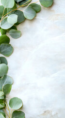 Poster - Eucalyptus branches framing marble surface, providing minimalist backdrop for wellness, spa, natural product branding