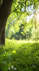Aufkleber - Sunlight filtering through lush green grass, casting soft shadows on weathered tree bark in tranquil woodland setting