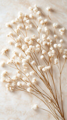 Poster - Small white flowers of gypsophila lie on a beige marble surface, creating a delicate and elegant composition