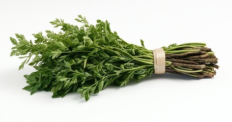 Poster - Nutritious fresh parsley bunch displayed elegantly on a plain background : Generative AI