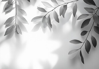 Leinwandbilder - Dynamic display of leaves with shadows creating a visually interesting composition on a bright background : Generative AI