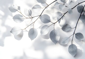 Aufkleber - Elegant Shadows of Leaves Highlighted on a Bright White Background in Soft Focus : Generative AI