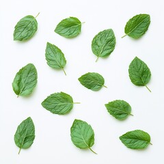 Poster - Fresh mint leaves on a clean white backdrop perfect for cooking and flavor enhancement : Generative AI