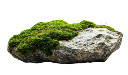 Wall Mural - green moss on grey rock isolated on white background